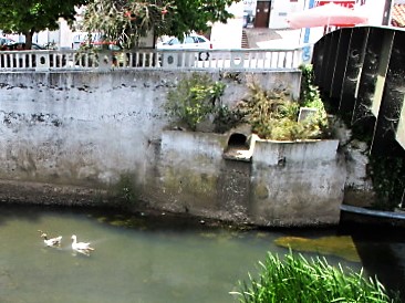 BERJAYA