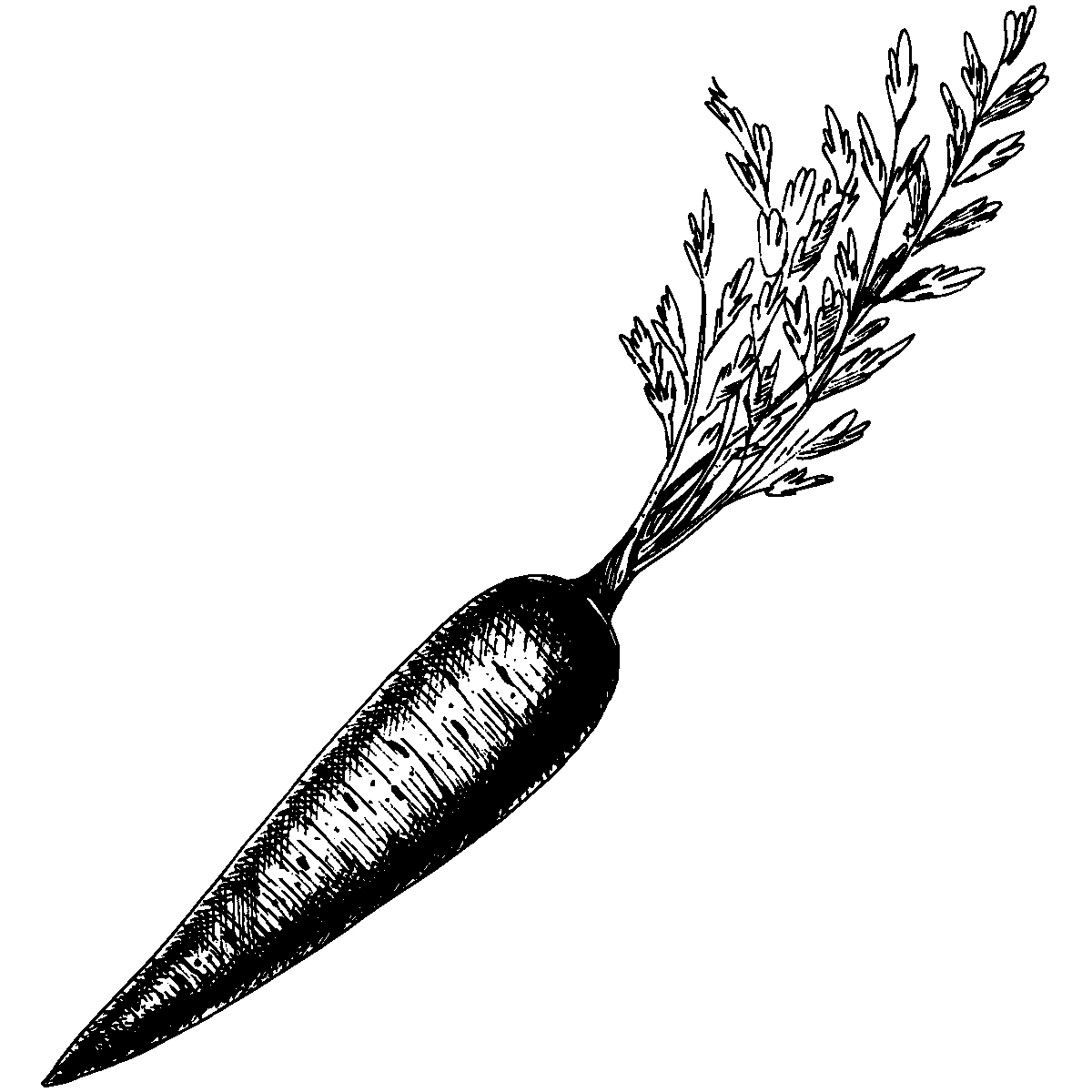 BERJAYA
