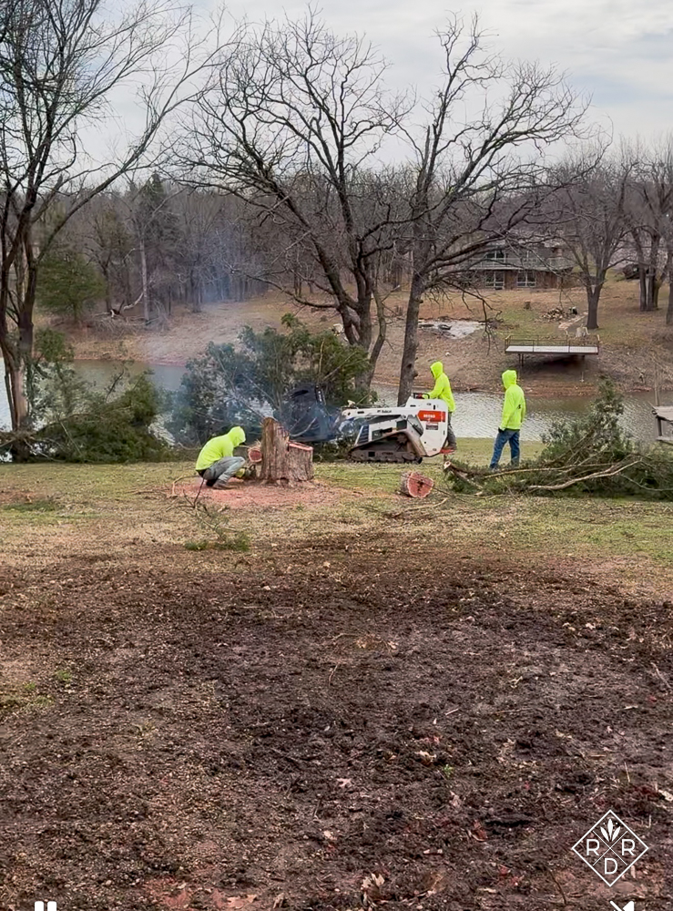 Eradicating eastern redcedars: my garden’s journey