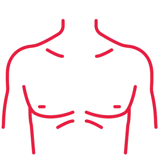 Chest