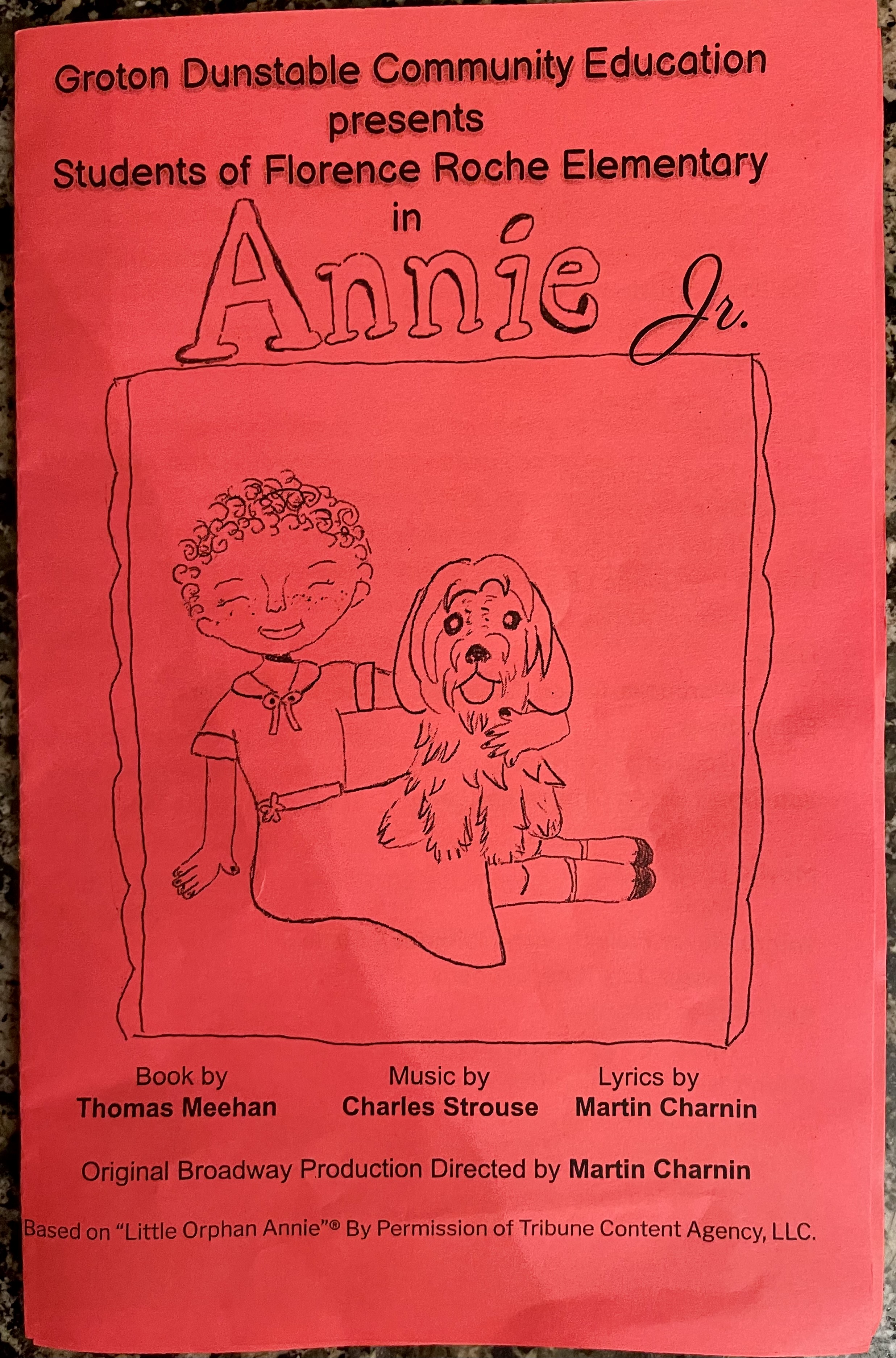 A Play Performance – Unexpected&nbsp;Surprise