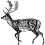 BERJAYA