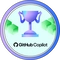 Winner Badge